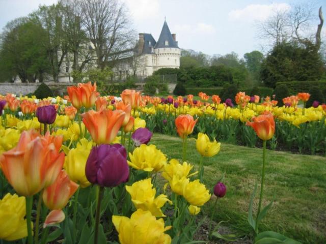 Le Refuge De Normandie Avec Spa Et Cheminee Mesnieres-en-Bray Exterior foto